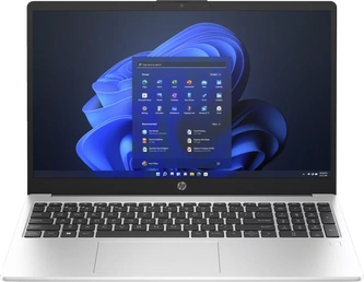 HP 250 G10, Turbo Silver, N100, 8GB RAM, 256GB SSD