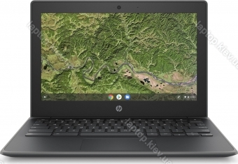  Chromebook 11A G8 EE grau, A4-9120C, 4GB RAM, 32GB SSD, EDU