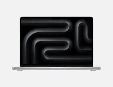 Apple MacBook Pro 14.2", silber, M4 - 10 Core CPU / 10 Core GPU, 24GB RAM, 1TB SSD
