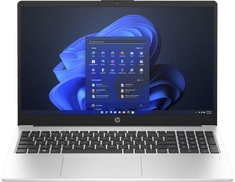 HP 250 G10, Turbo Silver, Core i5-1335U, 8GB RAM, 256GB SSD