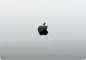 Apple MacBook Pro 14.2", silber, M3 - 8 Core CPU / 10 Core GPU, 8GB RAM, 1TB SSD