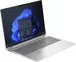 HP ProBook 460 G11, Pike Silver, Core Ultra 5 125U, 8GB RAM, 256GB SSD