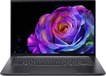 Acer Swift X 14 OLED SFX14-73G-79BJ, Titanium Gray, Core ...