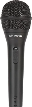 Peavey PVi 2