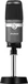 AVerMedia AM310