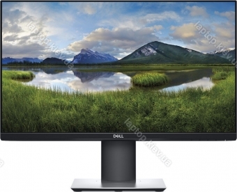 Dell P2319H, 23"
