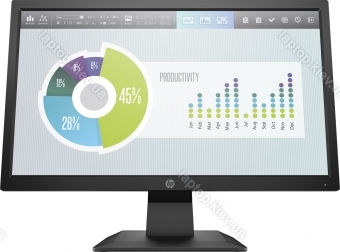HP P204v, 19.5"