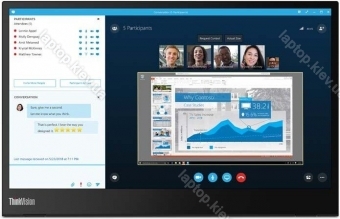 Lenovo ThinkVision M14 (2020), 14"