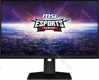 MSI G253PFDE, 24.5"