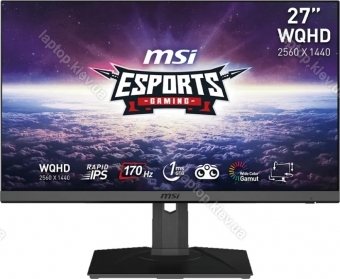 MSI G272QPF, 27" 