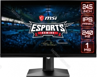 MSI Optix MAG251RX, 24.5"
