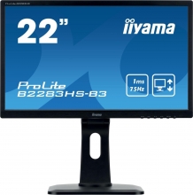 iiyama ProLite B2283HS-B3, 21.5" 