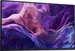 Dell P2425H WOST (ohne Standfuß), 23.81"