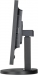 NEC MultiSync EX241UN-BK black, 24"