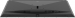 Philips Momentum 559M1RYV, 55" 