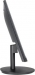 Wortmann Terra LED 2448W Greenline Plus, 23.8" 