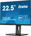 iiyama ProLite XUB2395WSU-B5, 22.5"
