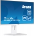 iiyama ProLite XUB2492HSU-W6, 23.8" 