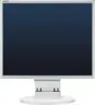 NEC MultiSync E171M silber/grau, 17"