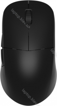 Endgame Gear XM2we wireless Gaming Mouse black, USB