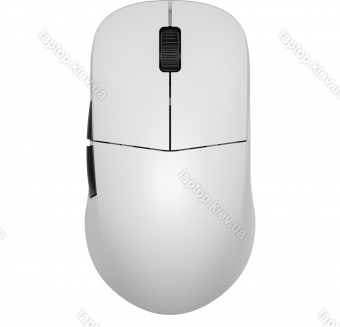Endgame Gear XM2we wireless Gaming Mouse white, USB