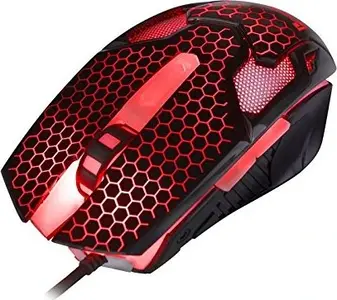 Tracer Hornet, USB