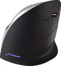 BakkerElkhuizen Evoluent C vertical mouse right silver, USB
