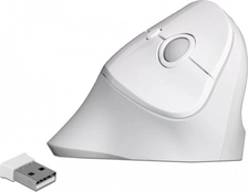 DeLOCK ergonomic USB mouse vertical white, wireless, USB