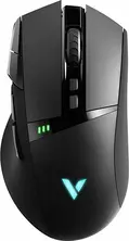 Rapoo VPRO Gaming VT350 wired/Wireless black, USB