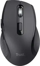 Trust Sura Comfortable wireless Mouse, USB