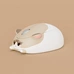 Akko x Waigua Cat Theme wireless Mouse, Ragdoll Cat, USB