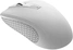 Canyon MW-7 wireless Mouse white, USB