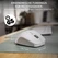 Cherry MSW Stream Mouse Comfort wireless, white, USB