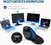 DeLUX Seeker wireless Ergonomic vertical Mouse, black, USB