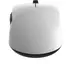 Endgame Gear XM2we wireless Gaming Mouse white, USB