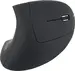 Equip Ergonomic wireless Mouse black, USB