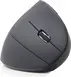 Gembird Ergonomic 6-button wireless Optical Mouse ERGO-01 black, USB