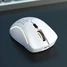 Glorious Model D- wireless white matte, USB