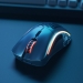 Glorious PC Gaming Race Model D- wireless black matte, USB