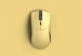 Glorious PC Gaming Race Model O Pro wireless, golden panda - Forge, USB