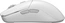 Glorious Series 2 Pro wireless, white, USB