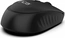 Inca IWM-243RS wireless Mouse black, USB