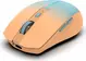 Inca IWM-511RT wireless Mouse orange/blue, USB/Bluetooth