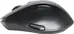 Inter-Tech Eterno M-230 wireless ergonomic mouse black, USB