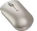 Lenovo 540 USB-C wireless Compact Mouse sand, USB