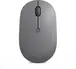Lenovo Go wireless Multi-Device Mouse Storm Grey, USB/Bluetooth
