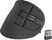 Natec Euphonie vertical wireless Mouse black, USB/Bluetooth