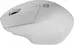 Natec Siskin 2 wireless Silent Mouse white, USB/Bluetooth