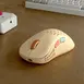 Pulsar Gaming Gears Xlite V2 mini wireless Retro Edition Brown, USB