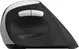 Rapoo EV250 Silent Ergonomic wireless Mouse black/silver, USB